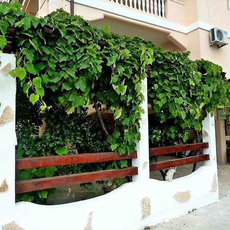 Apartments Papillon Podgorica Bagian luar foto